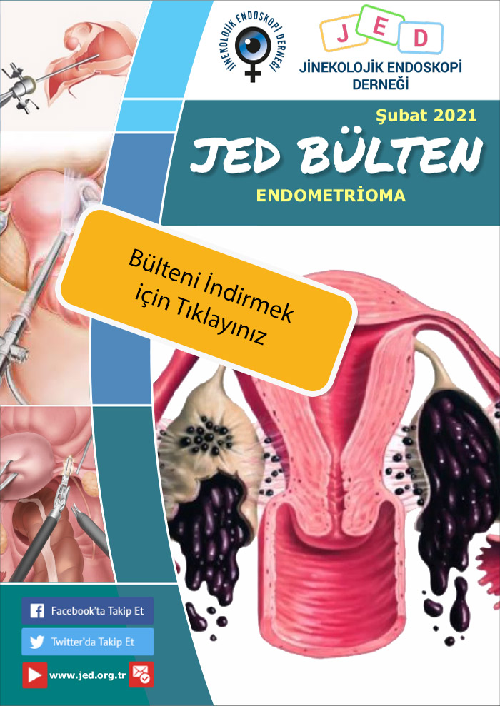 Aralık 2020 Bülteni