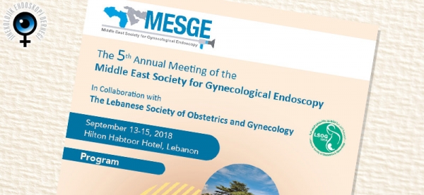 September 13-15, 2018 - Middle East Society of Gynecological Endoscopy (MESGE)